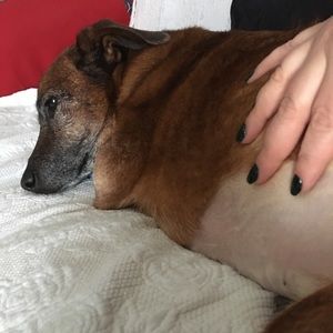 Meet your Posher, Laura